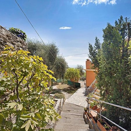 La Colombera Διαμέρισμα Αλάσιο Εξωτερικό φωτογραφία